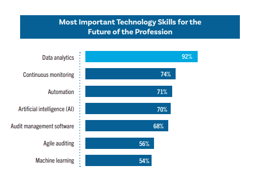 most important technology skills audit